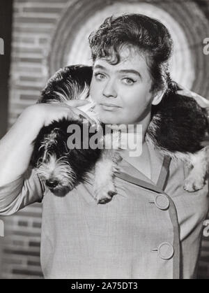 Trude Herr, deutsche Volksschauspielerin, Deutschland frühe 1960er Jahre. German folklore actress Trude Herr, Germany early 1960s. Stock Photo