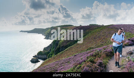Plevenon, Bretagne / France - 20 Augsut 2019: men hiking along a trail through purple heath meadows on the Atlantic Coast Stock Photo