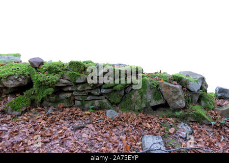 An ancient stone wall with moss and dry leaves isolated on white. Stock Photo