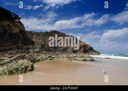 Byron Bay Shire tourism landscapes New South Wales Stock Photo