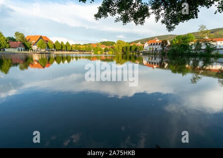 The trout pond in the Ilsenburg National Park, Harz Stock Photo