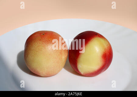 Two delicious ripe juicy nectarines on a white plate. Healthy fruits, vitamins. Stock Photo