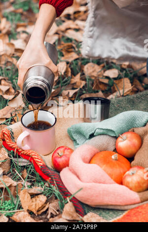 Autumn picnic in the park with tea, apples and pumpkin on warm blanket in yellow autumn leaves. Stock Photo