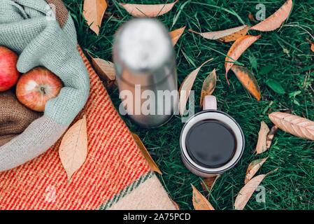Autumn picnic in the park with tea, apples and pumpkin on warm blanket in yellow autumn leaves. Stock Photo
