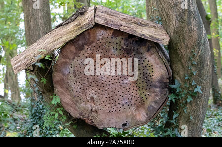 Insect house or bug hotel, made out of tree trunk with roof suspended between trees. Holes drilled into tree trunk for insects to nest and hibernate. Stock Photo