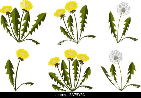 Set of dandelions on white background. Flat Design. Vector Illustration Stock Vector