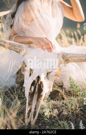 Beautiful deer skull with horns, close-up of girl's hand lay on the head, nature Stock Photo