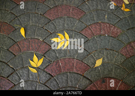 Top view of vibrant yellow autumn leaves on the pavement Stock Photo