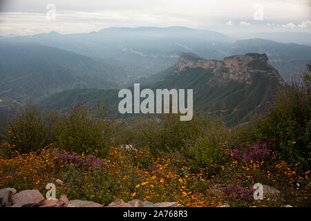 Haze over the mountains of four sticks Sierra Gorda Mexico among yellow flowers clouds Stock Photo