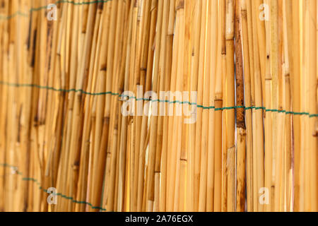 Privacy Screen For Garden Balcony And Terrace made of bamboo yellow dry stick straw as abstract texture background Stock Photo