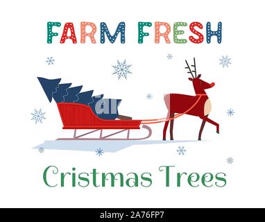 Farm fresh Christmas trees Stock Vector