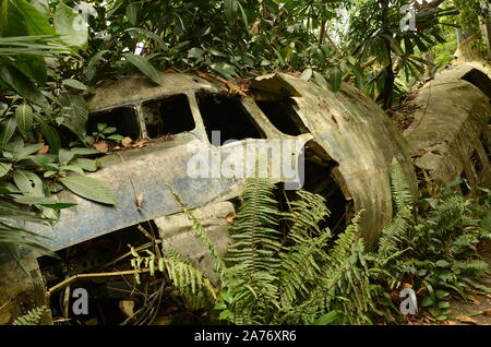 crashed aircraft wreckage, Vintage DC3 Dakota Stock Photo
