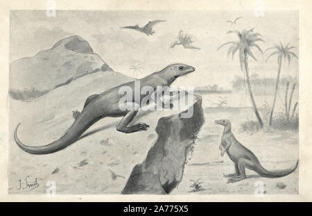 Hypsilophodon foxii dinosaurs and flying Pterodactyls, Cretaceous. Illustration by J. Smit from H. N. Hutchinson's 'Extinct Monsters and Creatures of Other Days,' Chapman and Hall, London, 1894. Stock Photo