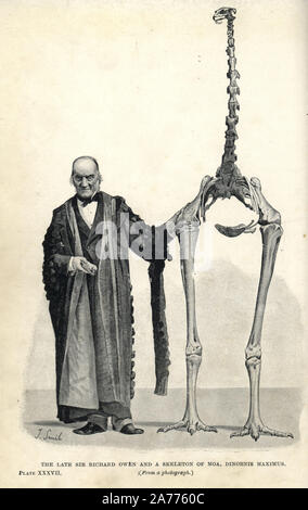 Skeleton of a South Island giant moa, Dinornis robustus (Dinornis maximus) with Sir Richard Owen. Illustration by J. Smit from H. N. Hutchinson's 'Extinct Monsters and Creatures of Other Days,' Chapman and Hall, London, 1894. Stock Photo