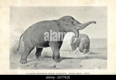 Deinotherium Images – Browse 69 Stock Photos, Vectors, and Video