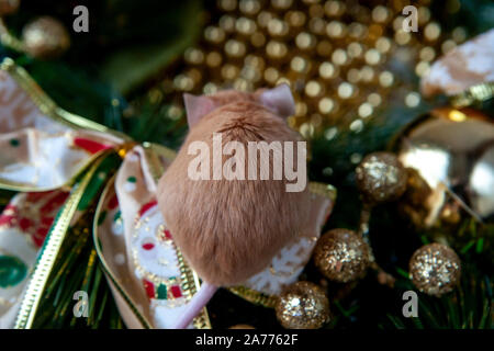 Little mouse on the background of Christmas decorations Stock Photo