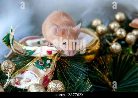 Little mouse on the background of Christmas decorations Stock Photo