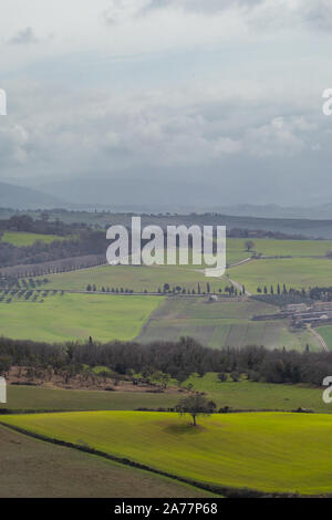 Green fields on a typical Tuscany landscape Stock Photo