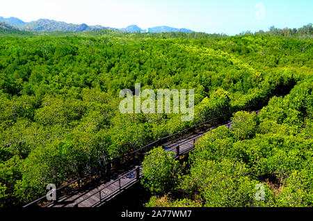 An aerial view of the mangrove walk at The Sirindhorn International Environmental Park Hua Hin Thailand Asia Stock Photo