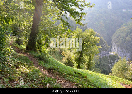 Beautiful panoramic autumnal view to high hills valley landscape.mountain path, road along deep rocky canyon and big chestnut trees. Stock Photo
