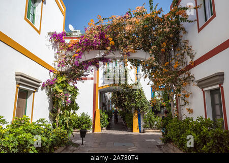 house in the south with flowers bougainvillea Stock Photo