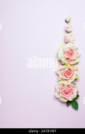 Wedding background with three pink rose flowers on light pink background Stock Photo