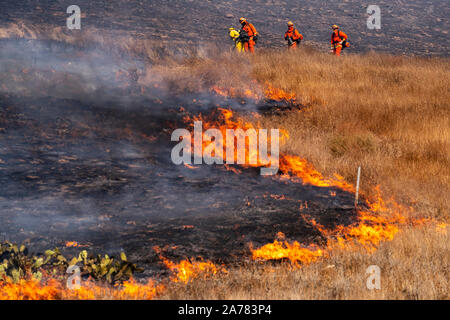 Simi Valley, United States. 30th Oct, 2019. Firefighters conduct a controlled burn as they fight the Easy Fire near the Ronald Reagan Presidential Library in Simi Valley, California. The fire spread quickly due to strong Santa Ana winds with wind gusts reaching up to 70 mph in some areas. The National Weather Service issued a rare extreme red flag warning to the greater Los Angeles area. The fire prompted mandatory evacuations. Credit: SOPA Images Limited/Alamy Live News Stock Photo