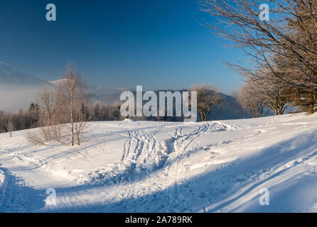 freezing winter morning on Butoranka bellow Lysa hora hill in Moravskoslezske Beskydy mountains in Czech republic with snow, trees, hiking trail, hill Stock Photo