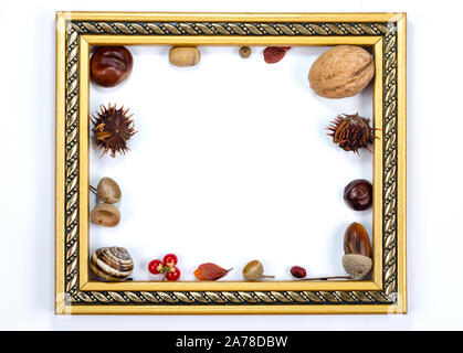 Autumn composition indoor on white background . Empty golden frame having inside chestnuts, acorns, rust leaves, nuts , rowan berries , snail shell To Stock Photo