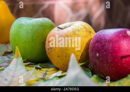 Autumn still life, three colorful apples, walnuts and beautiful yellow leaves Stock Photo