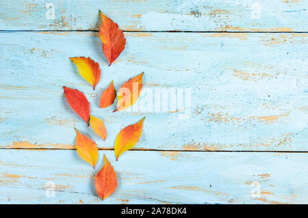 Autumn composition background. Rust and red leaves on a blue board background .Top view, copy space, flat lay . Stock Photo