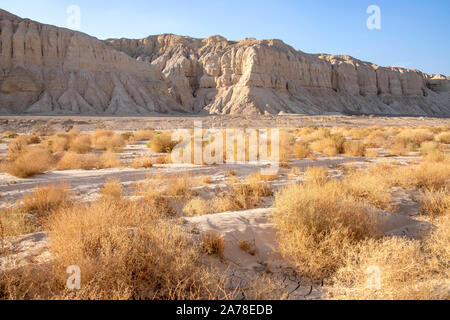 View of sandy mountains and a valley with dry vegetation and cracked earth in the Judean desert. Israel Stock Photo
