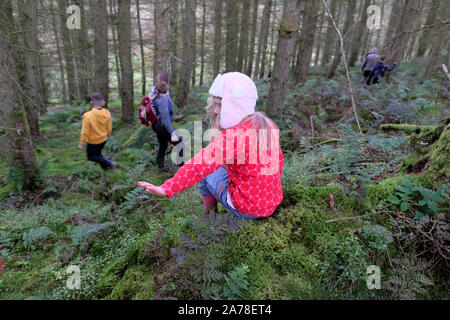 Family children walking playing play in woods woodland in countryside at girl child wearing pink in autumn in Carmarthenshire Wales UK  KATHY DEWITT Stock Photo