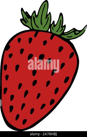 Handdrawn illustration with fruit strawberry, vector illustration Stock Vector