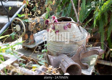 Old and rusty sewing machine, bucket and meat grinder, lie on the old table against the background of green plants Stock Photo