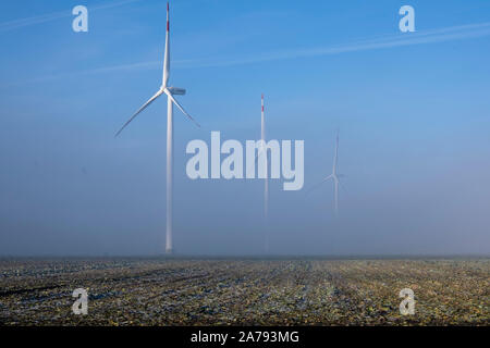 Friedrichskoog, Germany. 31st Oct, 2019. Windmills on the west coast are covered in fog. Credit: Frank Molter/dpa/Alamy Live News Stock Photo