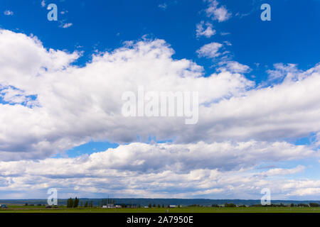 Vivid blue sky filled with fluffy white clouds Stock Photo