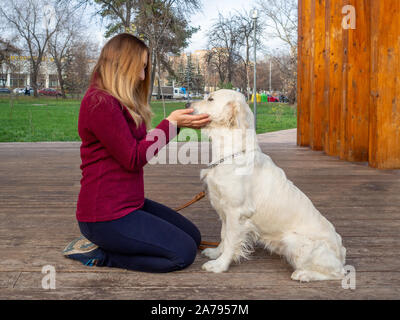 A girl on an open veranda in a park holds a golden retriever with white hair behind her head. A touching scene of human and dog communication. Stock Photo