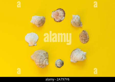Variety of seashells on a yellow background, summer sea background, place for text in a circle, flat lay Stock Photo