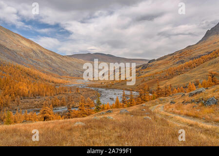 Amazing autumn landscape with a dirt rocky road in the mountains along a winding river and golden larch trees against a blue sky with clouds. Atay, Ru Stock Photo