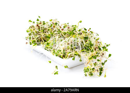 Fresh broccoli sprouts on white porcelain sauce dish isolated Stock Photo