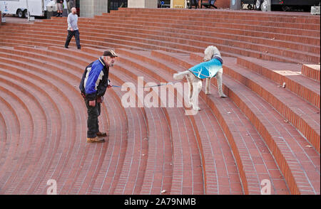 An elderly man walks his large poodle in Pioneer Courthouse Square in Portland, Oregon. Stock Photo