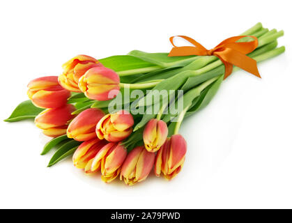 Tulips against white background Stock Photo