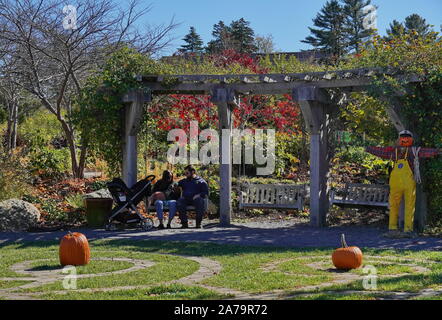 Boothbay, ME / USA - October 19, 2019: New couple spend time together with the baby on a swing in Coastal Maine Botanical Gardens Stock Photo