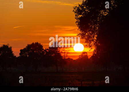 A  special sunset with intense colors in the autumn evening Stock Photo