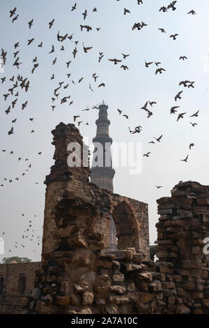 View of Qutub Minar againt the screen arches. Stock Photo