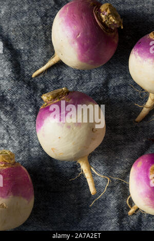 Raw Organic Purple Turnips Ready to Eat Stock Photo