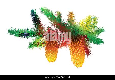 Christmas tree branch with cones Stock Vector