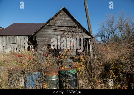 old barn in weeds dilapidated condition sunny day tamworth ontario Stock Photo