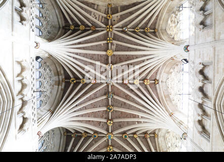 Exeter Cathedral, or the Cathedral Church of St Peter's architecturally amazing medieval stone vaulted nave, in Devon, UK Stock Photo
